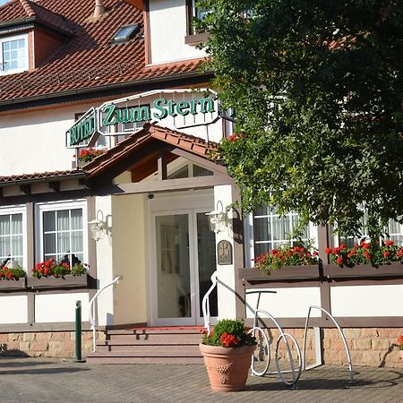 Parkhotel Zum Stern Oberaula Экстерьер фото
