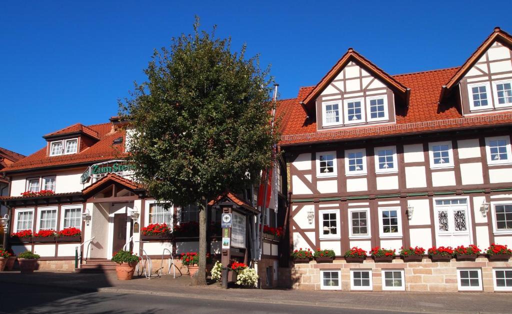 Parkhotel Zum Stern Oberaula Экстерьер фото