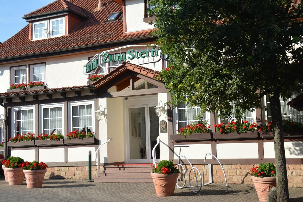 Parkhotel Zum Stern Oberaula Экстерьер фото