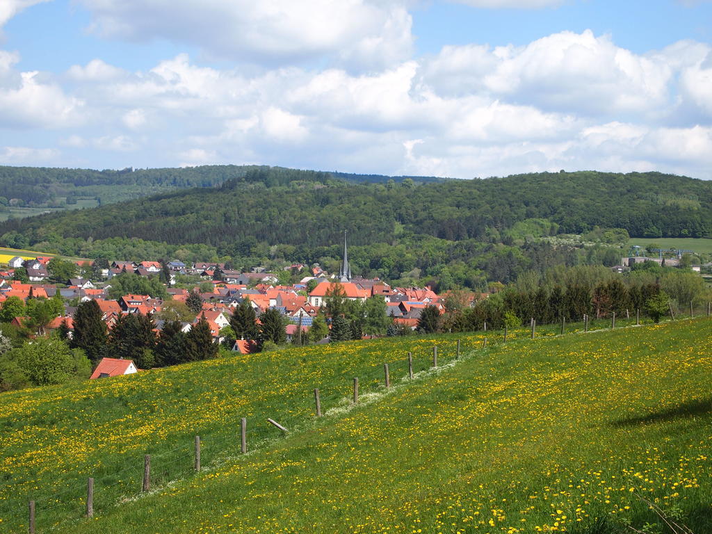 Parkhotel Zum Stern Oberaula Экстерьер фото